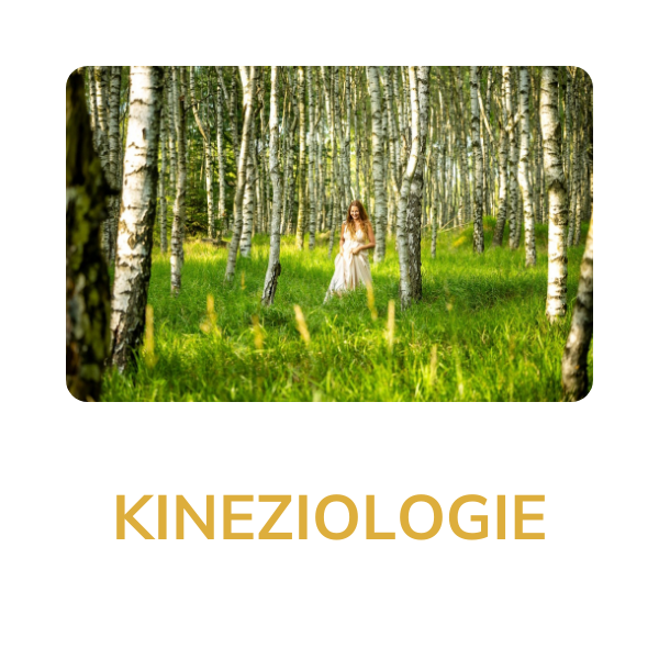 kineziologie_mini_2